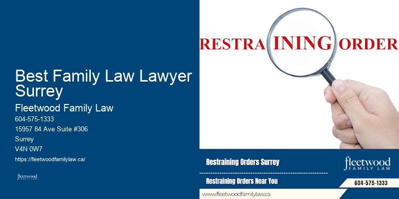 Best Family Law Lawyer Surrey Domestic Violence Attorney