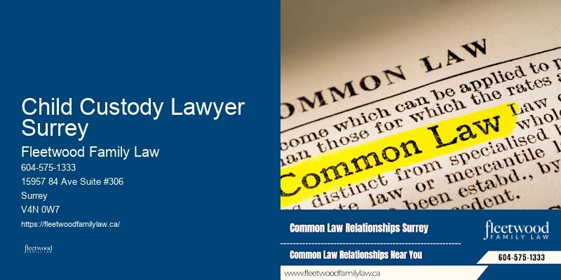 Child Custody Lawyer Surrey BC Guardianship Dispute Attorney