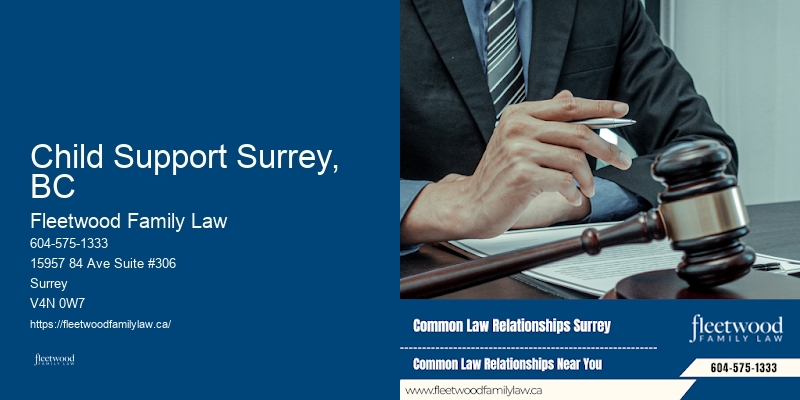 Child Support Surrey, BC BC Child Relocation Lawyer