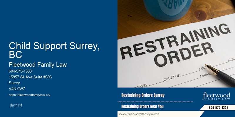 Child Support Surrey, BC BC Family Law Experts