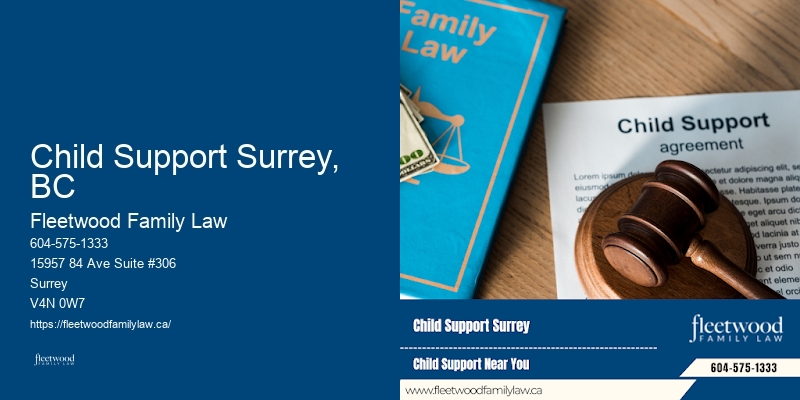 Child Support Surrey, BC Family Lawyer for Fathers' Rights