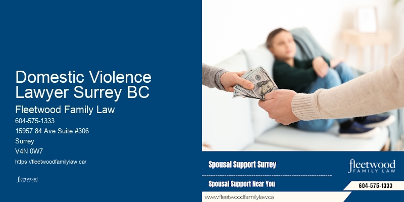 Family Lawyer for Divorce Domestic Violence Lawyer Surrey BC BC