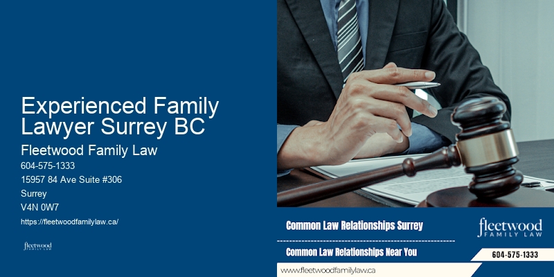 Family Law Consultation Experienced Family Lawyer Surrey BC