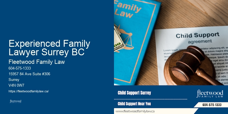 Divorce and Child Custody Lawyer Experienced Family Lawyer Surrey BC