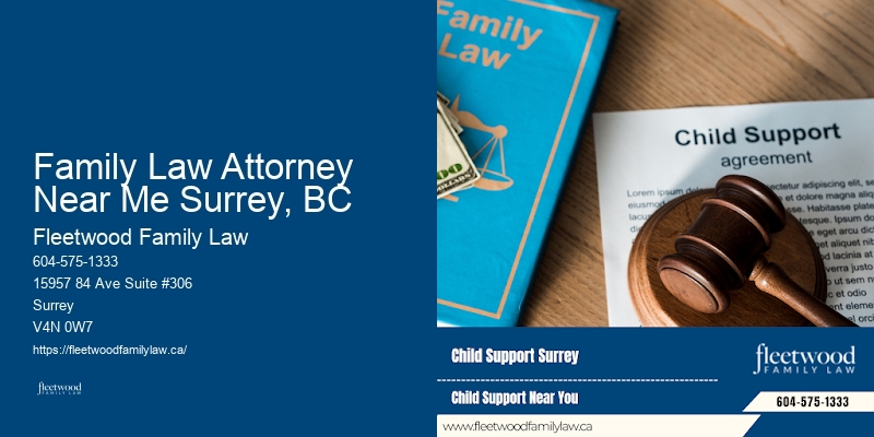 Custody Battles Lawyer Family Law Attorney Near Me Surrey, BC BC