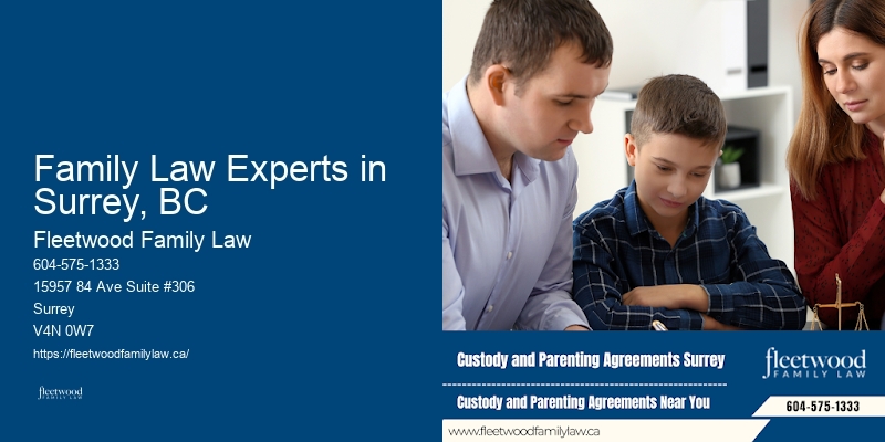 Family Law Experts in Surrey, BC Guardianship Legal Consultation