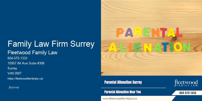Best Family Law Lawyer Family Law Firm Surrey