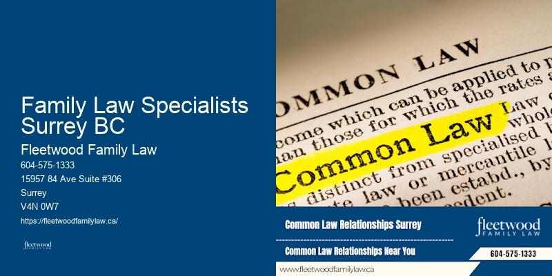 Family Law Specialists Surrey BC Child Custody Disputes Lawyer