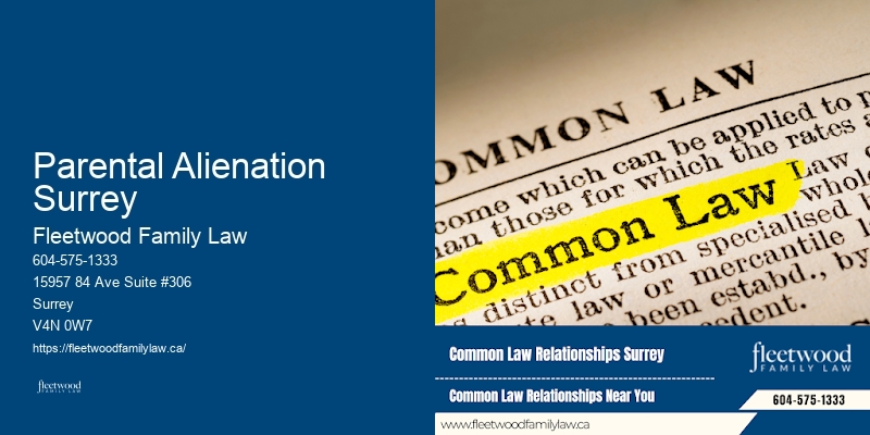 Affordable Child Custody Lawyer Parental Alienation Surrey BC