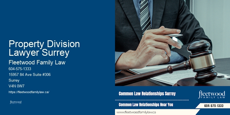 Guardianship Dispute Lawyer Property Division Lawyer Surrey BC