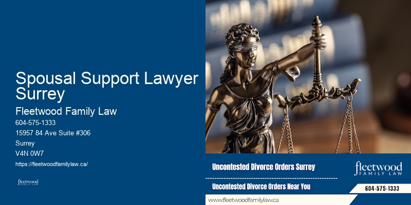 Family Law and Asset Protection Spousal Support Lawyer Surrey