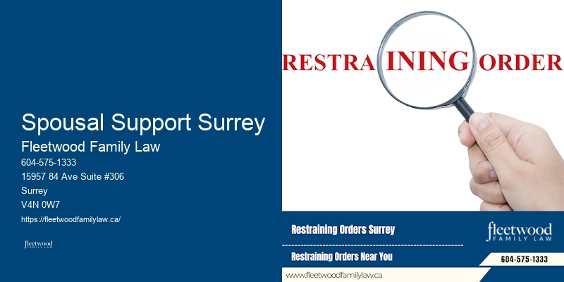 Top Family Lawyers Spousal Support Surrey BC