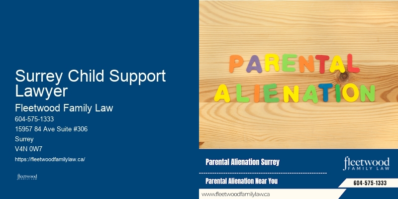 Child Custody Dispute Lawyer Surrey Child Support Lawyer