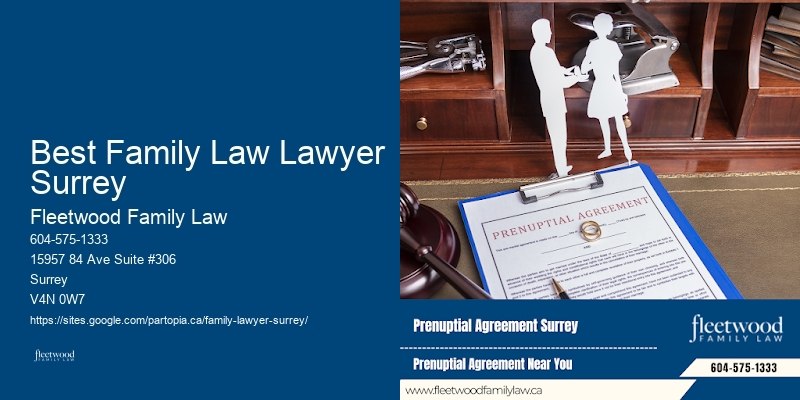 Custody Rights Lawyer Best Family Law Lawyer Surrey BC
