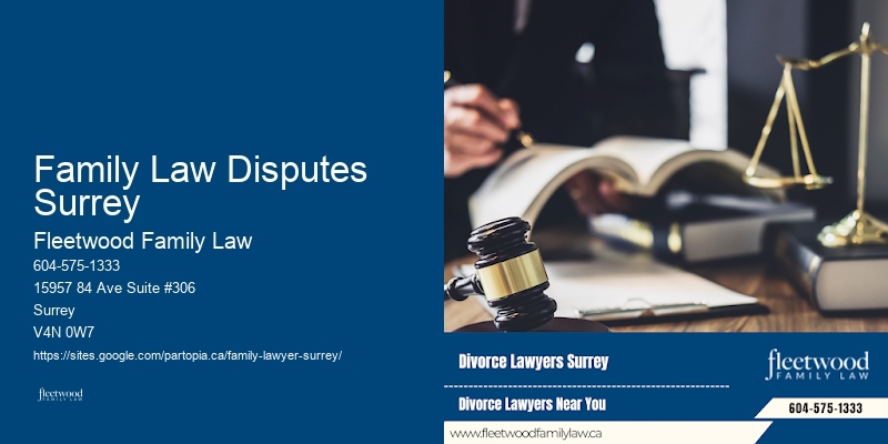 High Net Worth Divorce Lawyer Family Law Disputes Surrey BC