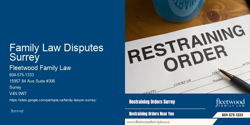 High-Conflict Child Custody Lawyer Family Law Disputes Surrey