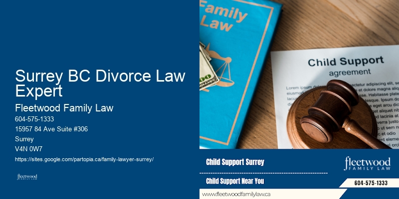 Surrey BC Divorce Law Expert Child Abduction Lawyer