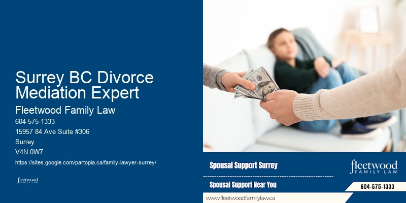 Surrey BC Divorce Mediation Expert Domestic Abuse Lawyer
