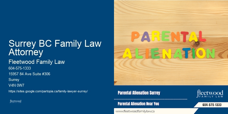 Child Support Lawyer Near Me Surrey BC Family Law Attorney