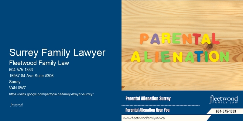 Child Support Attorney Near Me Surrey Family Lawyer, BC
