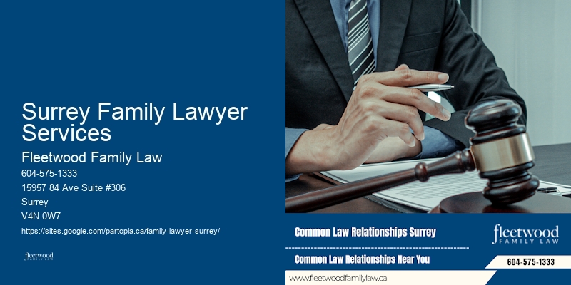 Best Child Custody Lawyer in Surrey Family Lawyer Services