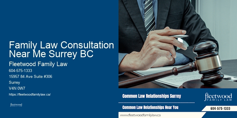 Custody Battle Representation Family Law Consultation Near Me Surrey BC BC