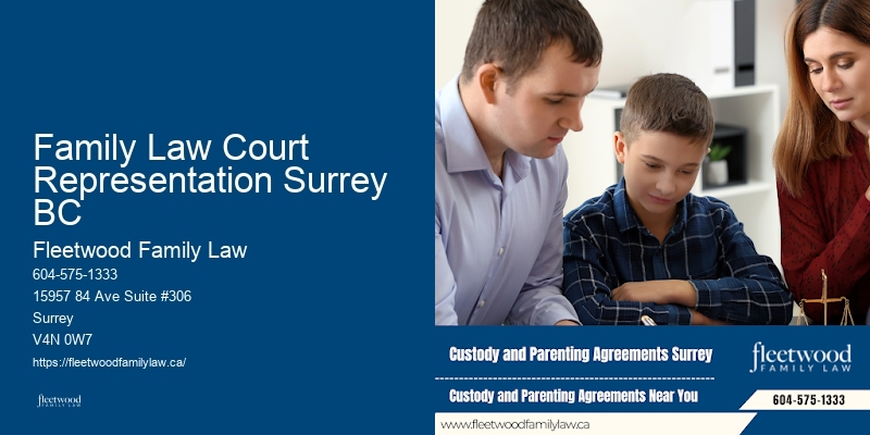 Custody and visitation lawyer Family Law Court Representation Surrey BC