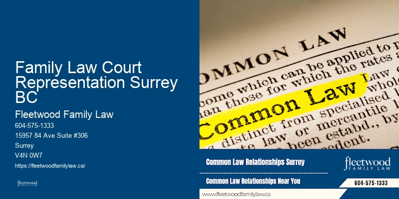 Family Law Court Representation Surrey BC BC Child Relocation Lawyer