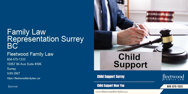 Family Law Representation Surrey BC BC Child Support Lawyer