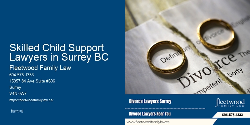 Family Legal Services Skilled Child Support Lawyers in Surrey BC BC