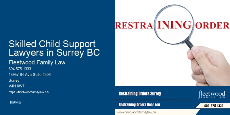 Complex Family Law Case Management Skilled Child Support Lawyers in Surrey BC BC