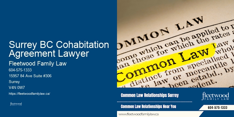 Top child custody lawyers Surrey BC Cohabitation Agreement Lawyer BC