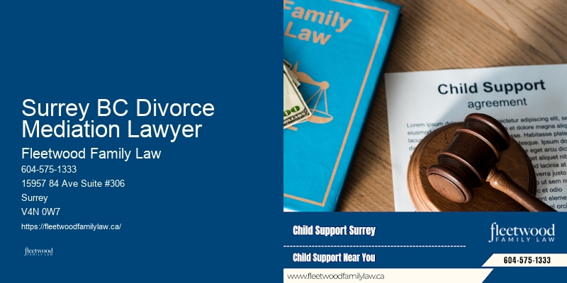 Professional Family Lawyer Surrey BC Divorce Mediation Lawyer BC