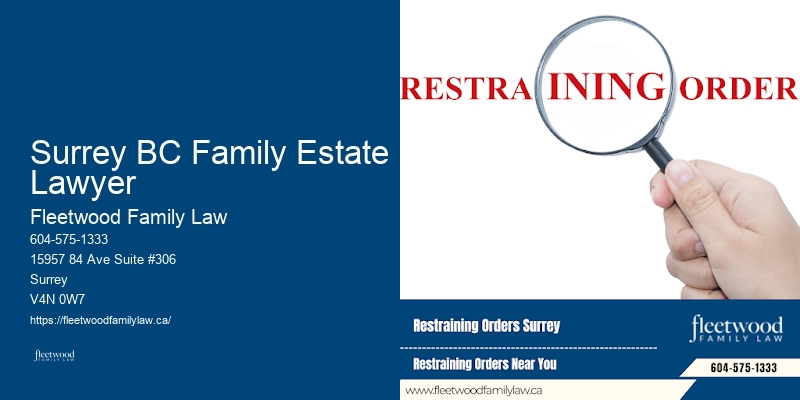 Child Custody Agreement Specialists Surrey BC Family Estate Lawyer BC