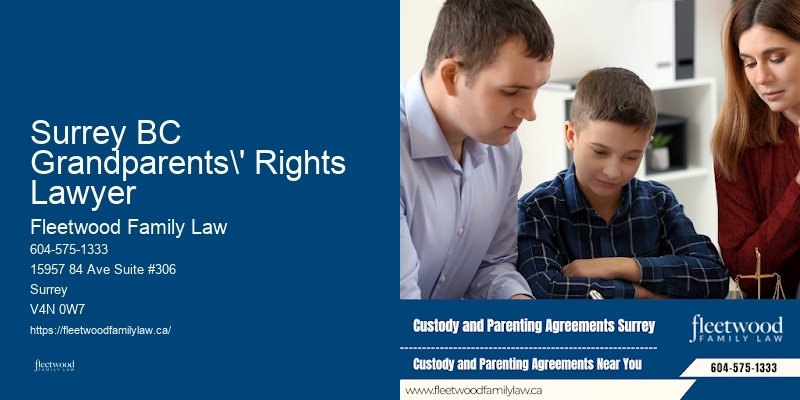 Surrey BC Grandparents' Rights Lawyer Family Lawyer Reviews