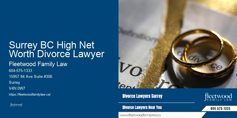 Comprehensive family law litigation Surrey BC High Net Worth Divorce Lawyer