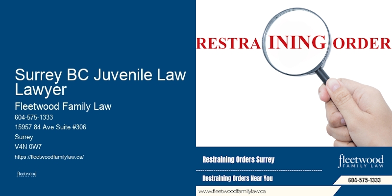 Top Family Lawyers Surrey BC Juvenile Law Lawyer BC