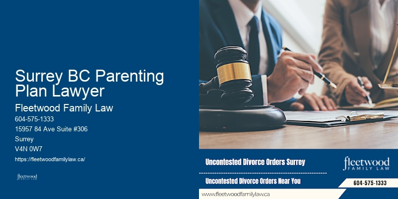 Surrey BC Parenting Plan Lawyer BC Estate and Family Lawyer