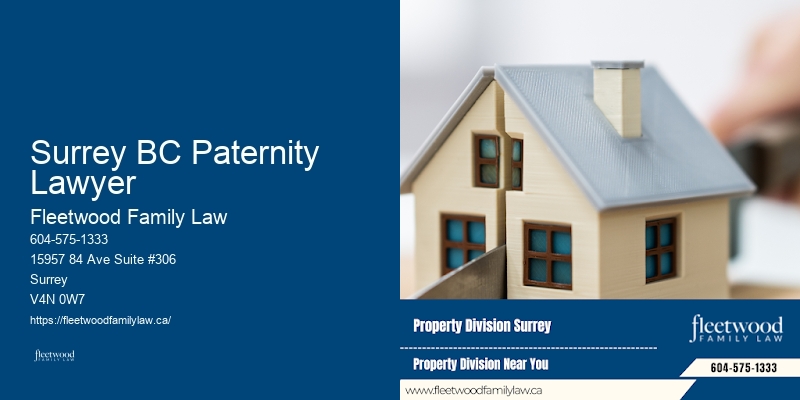 Family Law Dispute Resolution Surrey BC Paternity Lawyer BC