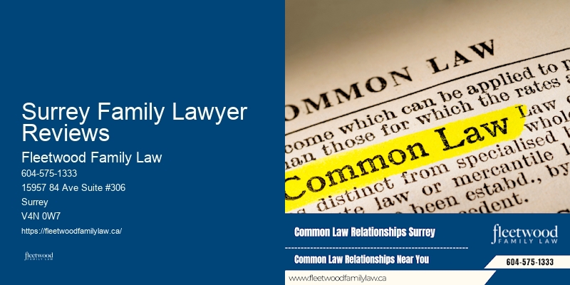 Family Lawyer For Separation Surrey Family Lawyer Reviews BC