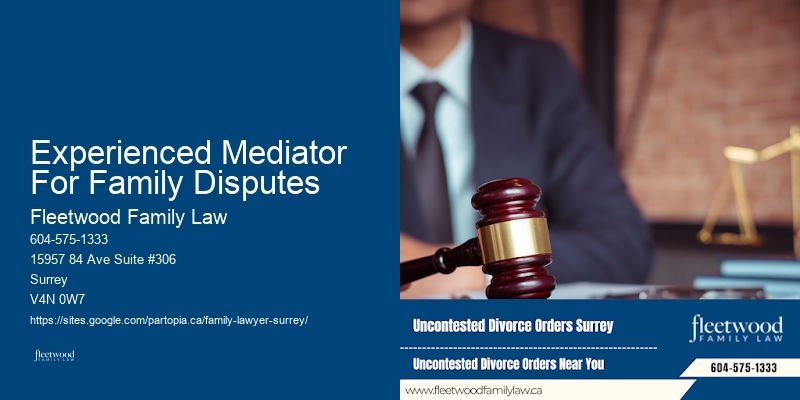 Experienced Mediator For Family Disputes