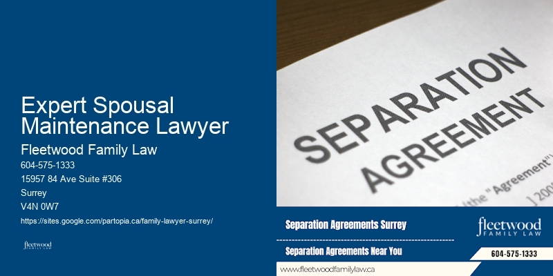 Expert Spousal Maintenance Lawyer
