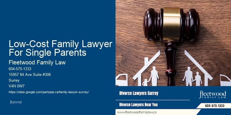 Low-Cost Family Lawyer For Single Parents