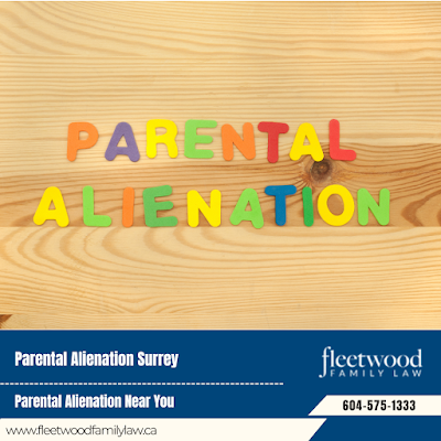 Legal Advice For Families In Alimony Lawyer Surrey