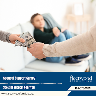 Divorce and Separation Lawyer Child Support Legal Services Surrey