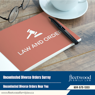 Child Visitation Rights Family Legal Services Surrey