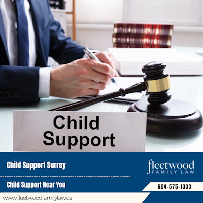 Best Child Custody Law Firm In Child Support Legal Services Surrey Canada