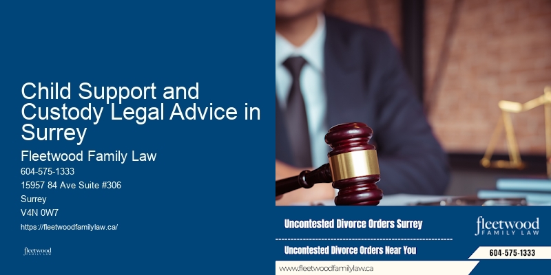 Child Support and Custody Legal Advice in Surrey