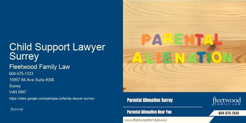 Family Lawyer Assistance And Support In Child Support Lawyer Surrey