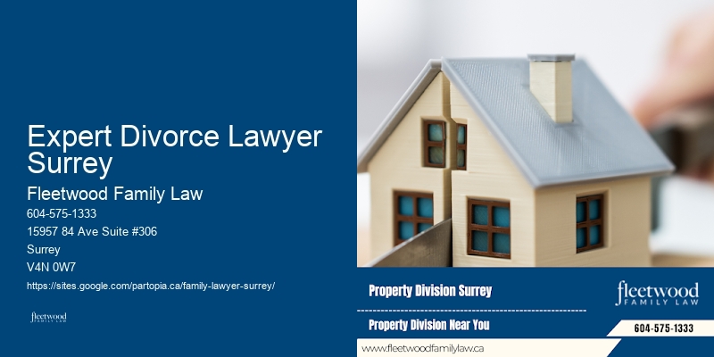 Child Custody Consultant